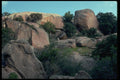 032023 Desert Trees Among Weathering Boulders A4 Photo Print