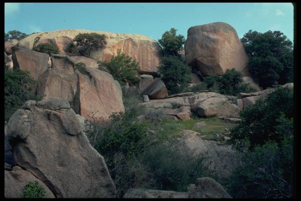 032023 Desert Trees Among Weathering Boulders A4 Photo Print