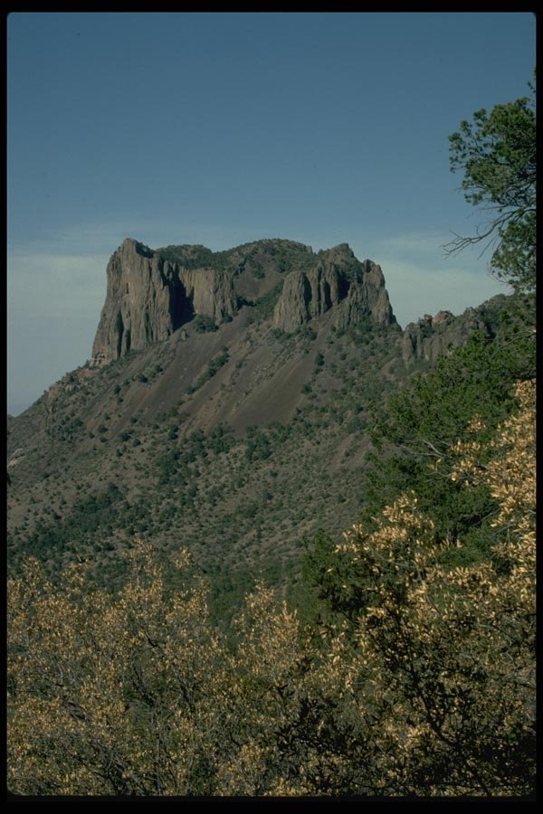 032037 Eroding Butte Over Yellow Shrubs A4 Photo Print