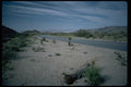 032080 Curved Desert Highway A4 Photo Print