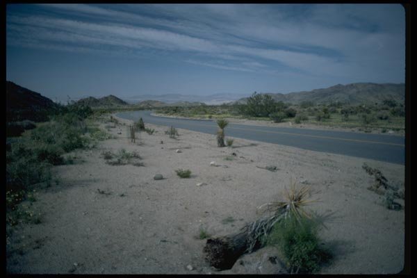 032080 Curved Desert Highway A4 Photo Print