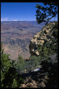 032088 Grand Canyon Framed By Rock And Shrubs A4 Photo Print