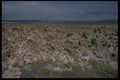 032094 Salt Deposits Beside Lake A4 Photo Print