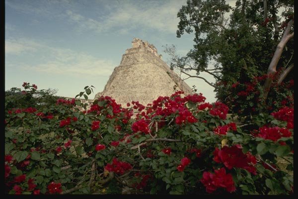 033002 Pyramid Of The Magician With Bougainvillea, Uxmal A4 Photo Print