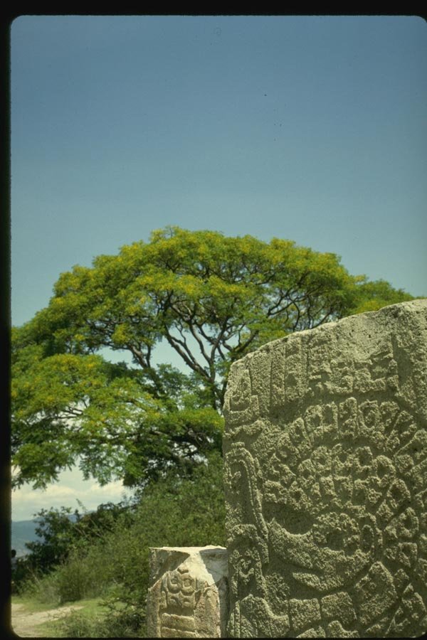 033096 Sculpture Relief At Monte Alban A4 Photo Print