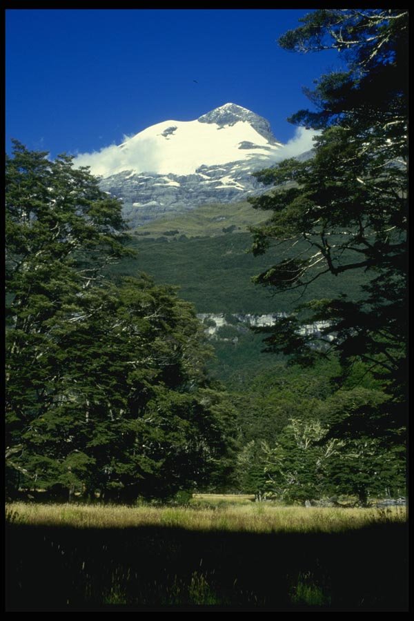 036000 Southern Alps, Mount Aspiring National Park A4 Photo Print