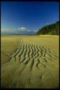 036005 Beach At Low Tide, Abel Tasman National Park A4 Photo Print