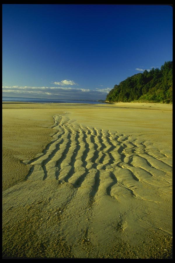 036005 Beach At Low Tide, Abel Tasman National Park A4 Photo Print