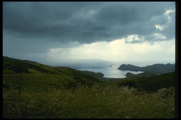 036013 View Of Sandy Bay, Coromandel Peninsula, North Island A4 Photo Print