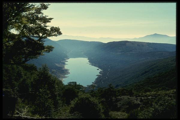 036019 Cobb Lake, Tasman Mountains, South Island A4 Photo Print