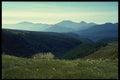 036020 Alpine Meadow, Tasman Mountains, South Island A4 Photo Print