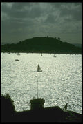 036025 Sailing In Auckland Harbor, North Island A4 Photo Print