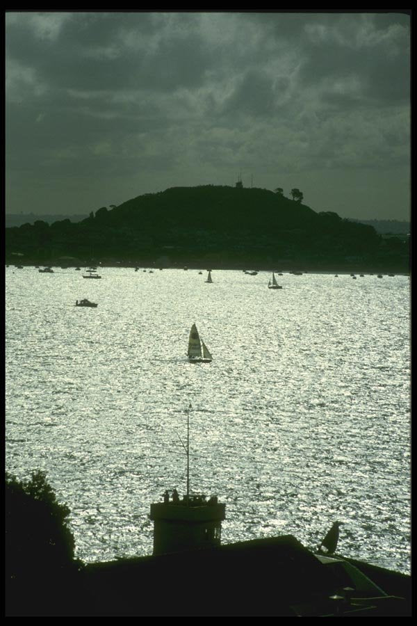 036025 Sailing In Auckland Harbor, North Island A4 Photo Print