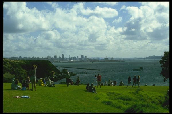 036027 Auckland Harbor, North Island A4 Photo Print