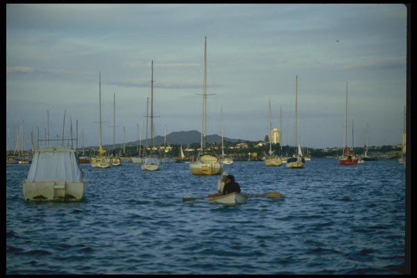 036029 Sailboats Moored In Auckland Harbor, North Island A4 Photo Print
