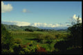 036030 Farmland, Hastings, North Island A4 Photo Print
