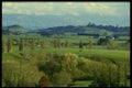 036031 Farmland, Hastings, North Island A4 Photo Print