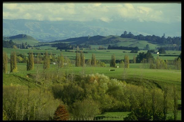 036031 Farmland, Hastings, North Island A4 Photo Print