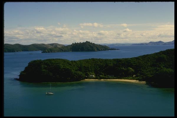 036035 Bay Of Islands, North Island A4 Photo Print