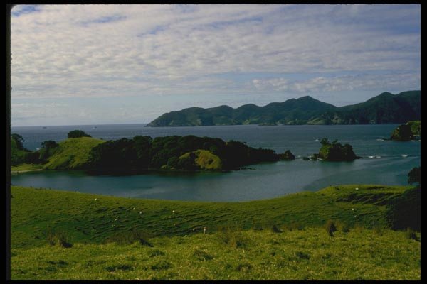 036036 Bay Of Islands, North Island A4 Photo Print
