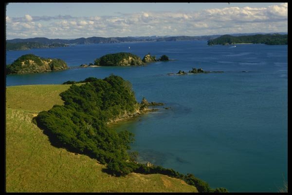 036038 Bay Of Islands, North Island A4 Photo Print