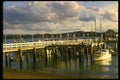 036039 Boat Wharf, Bay Of Islands, North Island A4 Photo Print