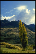 036042 Foothills Of Southern Alps, South Island A4 Photo Print