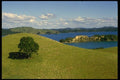 036046 Bay Of Islands, North Island A4 Photo Print