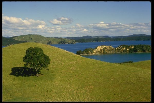 036046 Bay Of Islands, North Island A4 Photo Print