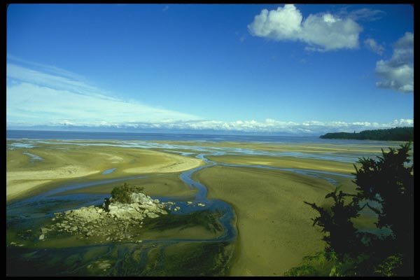 036049 Low Tide, Abel Tasman National Park, South Island A4 Photo Print