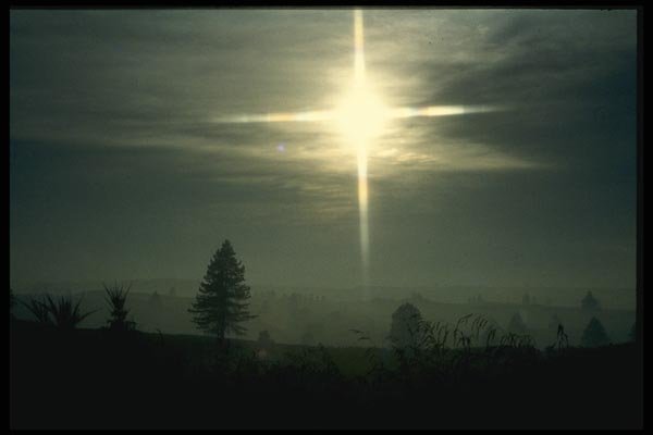 036051 Morning Sun, Lake Rerewhakaaitu, North Island A4 Photo Print