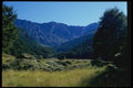 036054 Alpine Meadow, Mount Aspiring National Park A4 Photo Print