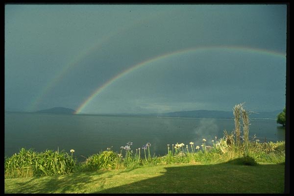 036062 Rainbow On Mokoia Island, Lake Rotorua, North Island A4 Photo Print