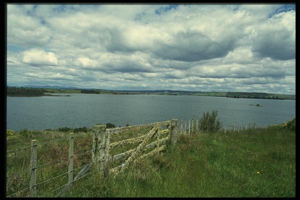 036063 Lake Rerewhakaaitu, North Island A4 Photo Print