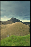 036071 Grazed Land In Summer, Coromandel Peninsula, North Island A4 Photo Print