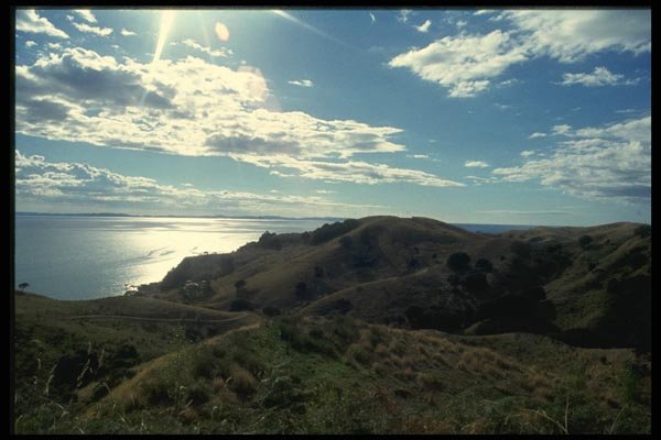 036072 Coastline, Cormandel Peninsula, North Island A4 Photo Print