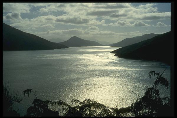 036076 Queen Charlotte Sound, South Island A4 Photo Print