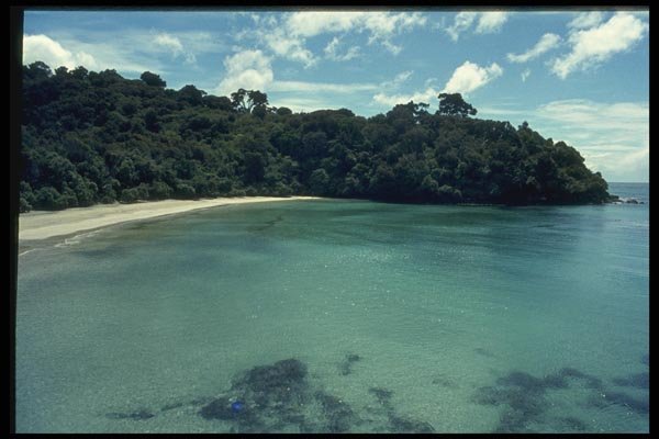 036078 Clear Waters Of Stewart Island A4 Photo Print