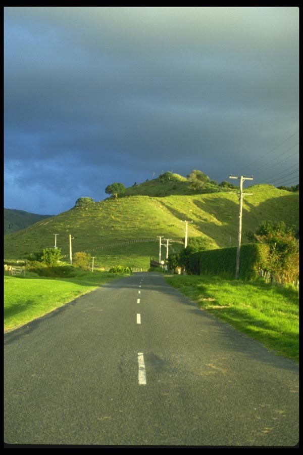 036083 Afternoon Light On Highway, North Island A4 Photo Print