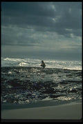 036095 Tasman Sea, Hokianga Heads, North Island A4 Photo Print