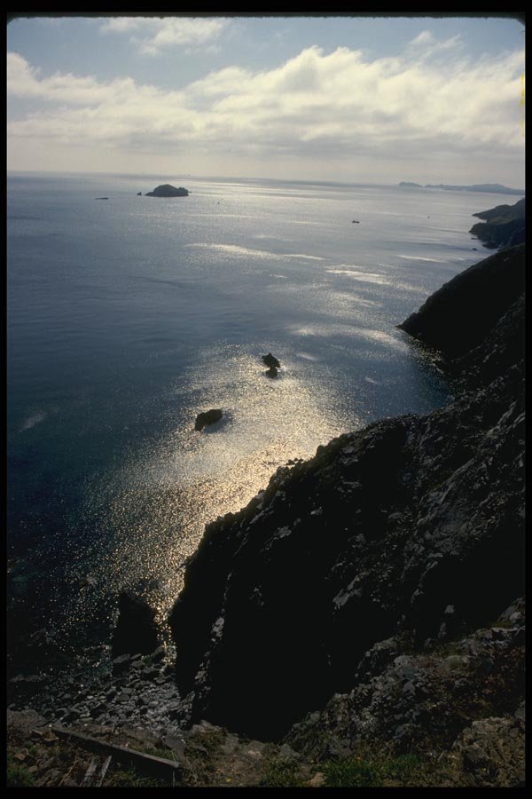 036097 Coastline, North Island A4 Photo Print