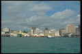 036100 Auckland A4 Photo Print