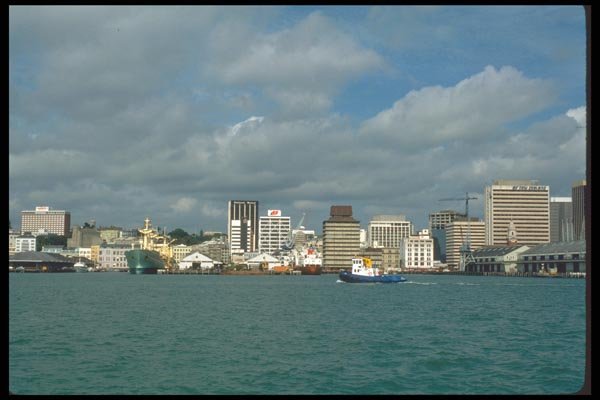 036100 Auckland A4 Photo Print