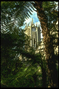 036101 Auckland University A4 Photo Print