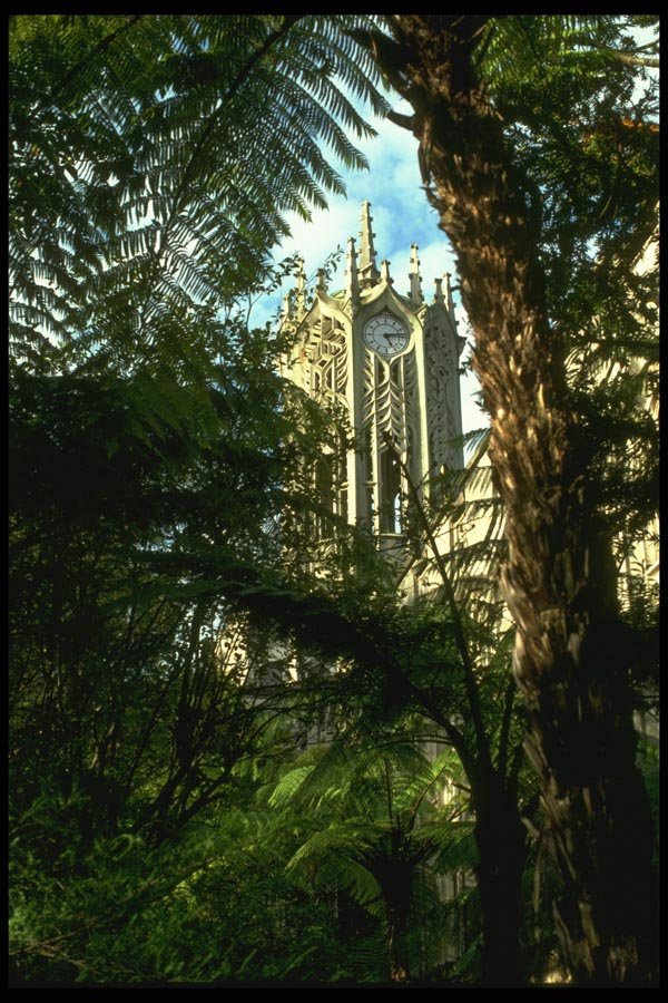 036101 Auckland University A4 Photo Print