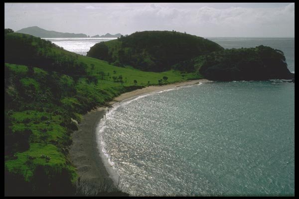 036109 Motorua Island, Bay Of Islands A4 Photo Print