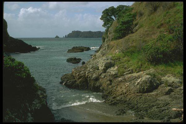 036110 Motorua Island, Bay Of Islands A4 Photo Print