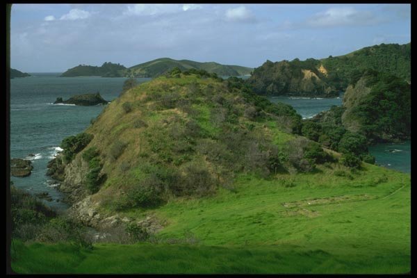 036111 Motorua Island, Bay Of Islands A4 Photo Print