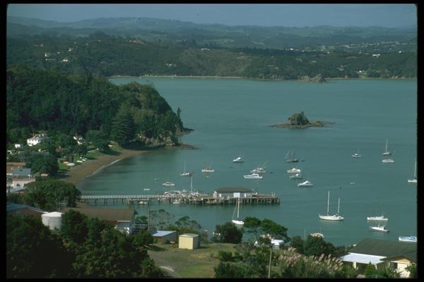 036116 Russel, Bay Of Islands A4 Photo Print