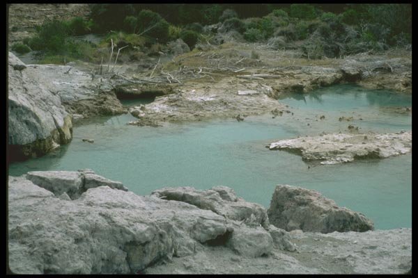 036125 Whakarewarewa Thermal Area A4 Photo Print